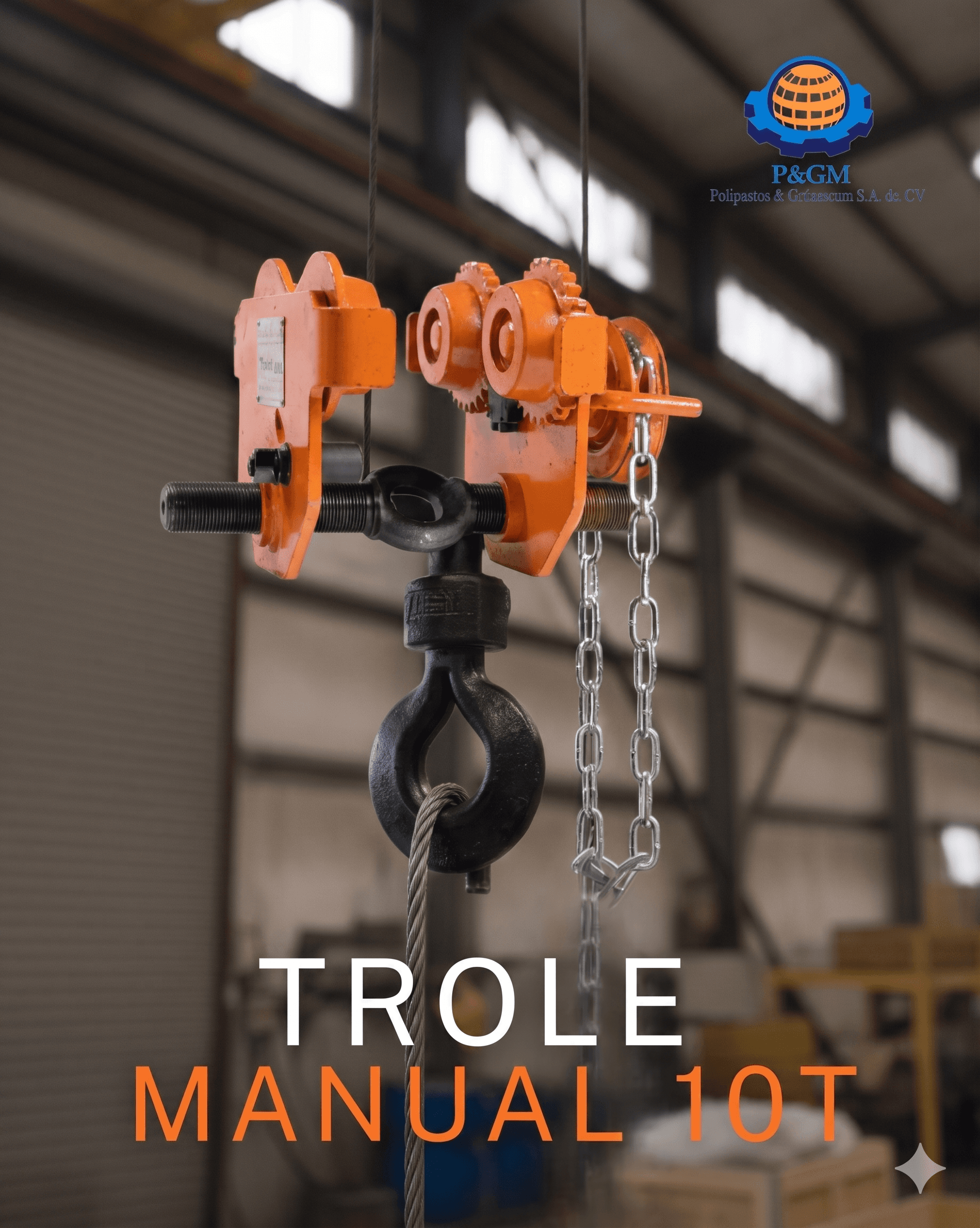 Gruas y Polipastos